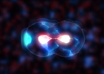 Kök Hücre Ve Yaratma