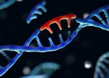 Canlılardaki DNA, 14 milyar yıl içerisinde, mutasyon, genetik seleksiyon ve genetik sürüklenme sonucu canlıların evrimleşmesinde fonksiyon gösterebilir mi?