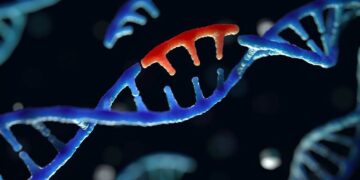 Canlılardaki DNA, 14 milyar yıl içerisinde, mutasyon, genetik seleksiyon ve genetik sürüklenme sonucu canlıların evrimleşmesinde fonksiyon gösterebilir mi?