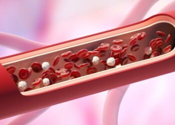 Kan Hücrelerindeki Mu’cizeler
