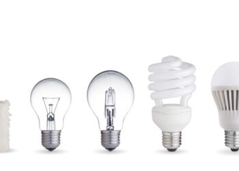 Evrim, yaratılışın alternatifi değildir