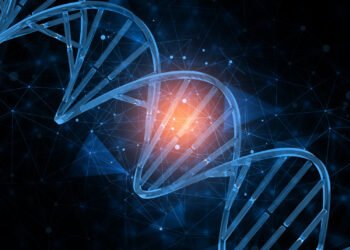 Uluslararası Harezmi ödülünü alan ilk Türk bilim adamı: Prof. Dr. Mustafa Nazıroğlu